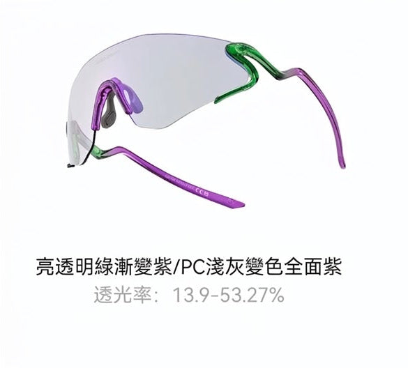 Rockbros Agile Snake 變色 單車太陽眼鏡 輕量 TR90 防曬運動眼鏡