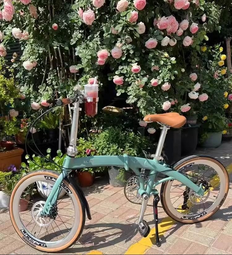 KOSDA KF200 22" 鋁合金 451 超輕海豚支架 9速 碟剎 摺疊單車