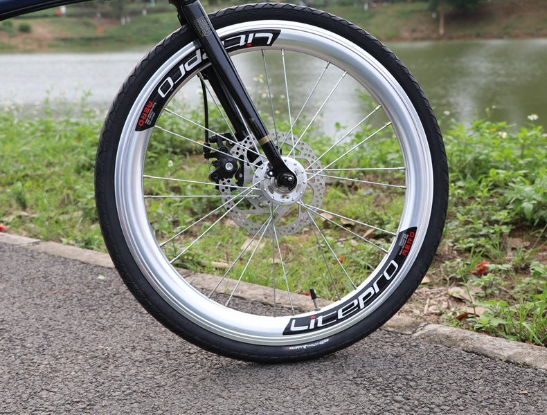 Fnhon Fengxing GUST 20 "cadre en acier frein à disque fourmi pied vélo pliant FGD2018