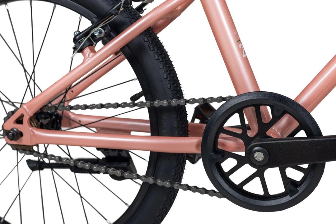 LanQ 20”兒童單車中童單車 鋁合金 適合7至14歲