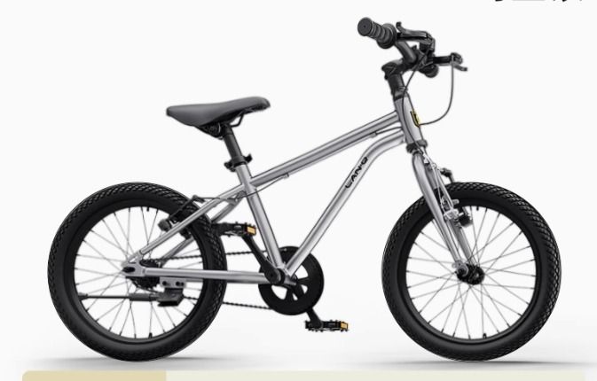 LanQ 20”兒童單車中童單車 鋁合金 適合7至14歲