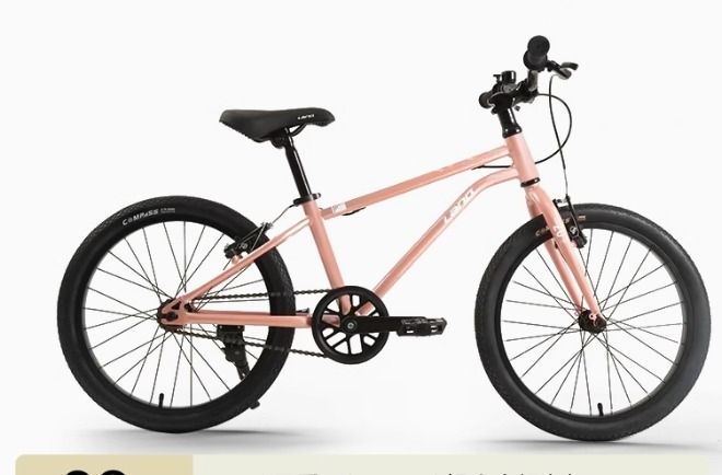LanQ 20”兒童單車中童單車 鋁合金 適合7至14歲
