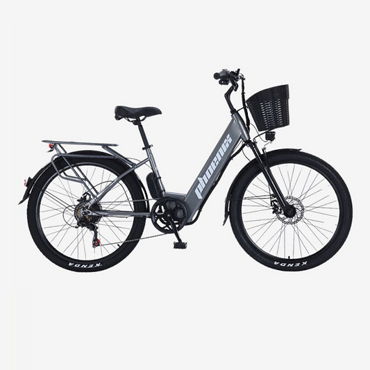Phoenix C1 36V 350W 24" Electric Bike w/ rear rack